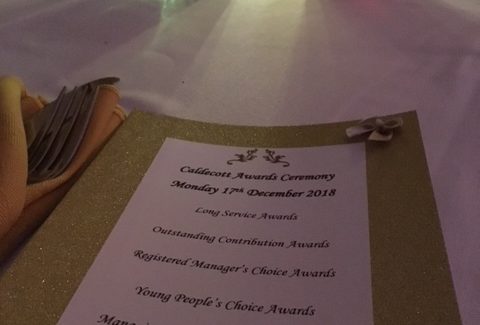 Celebrating Excellence at the Caldecott Awards