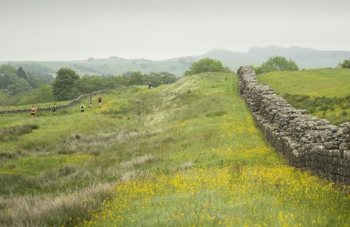 Caldecott Teacher Takes On 'The Wall'